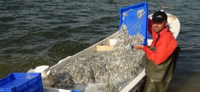 Anadolu'da balık üretimi arttı