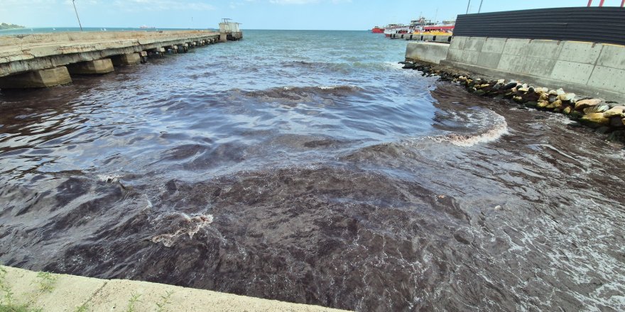 QTerminals Antalya’dan Balıkçı Barınağı Temizliğine Destek