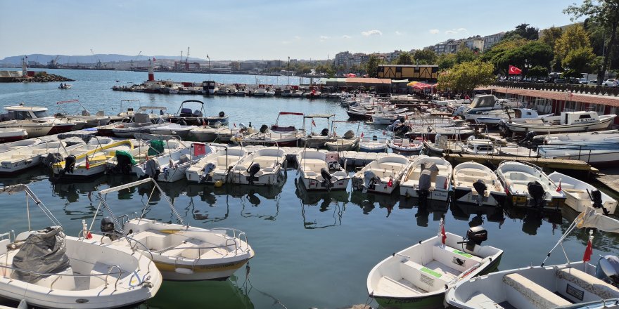 Limanda Tatlı Telaşe: Balıkçılar Lüfer ve Palamuttan Umutlu