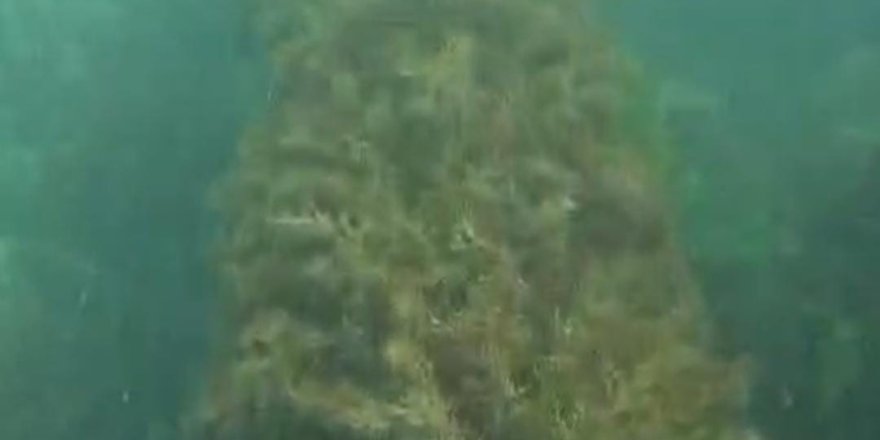 Amasra Belediyesi'ne 668 Bin TL Para Cezası Kesildi