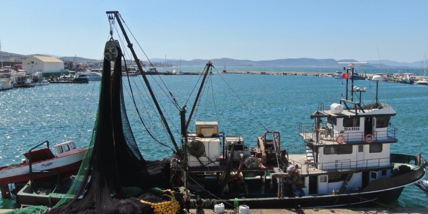 Ege'de Fırtınalı Mesai Başladı: Balık Bol, Tayfa Yok