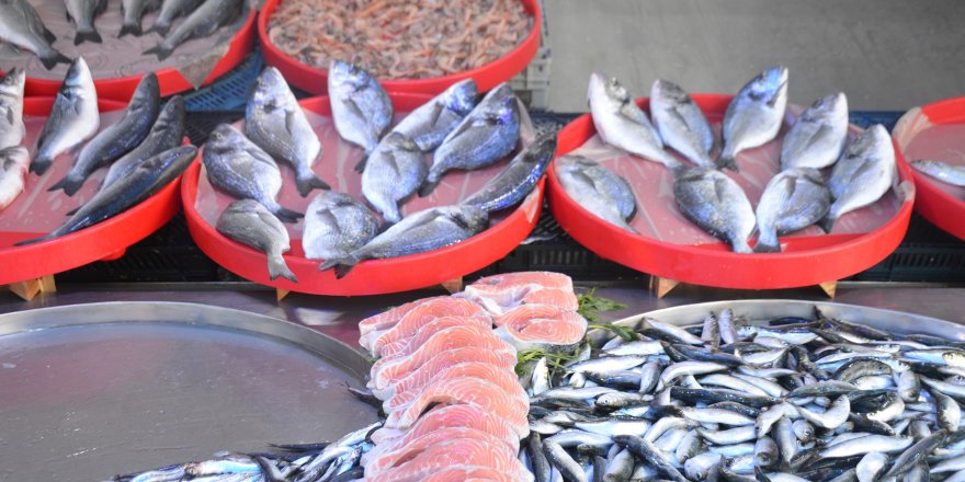 Bu Yıl Tezgâhların Şampiyonu Sardalya