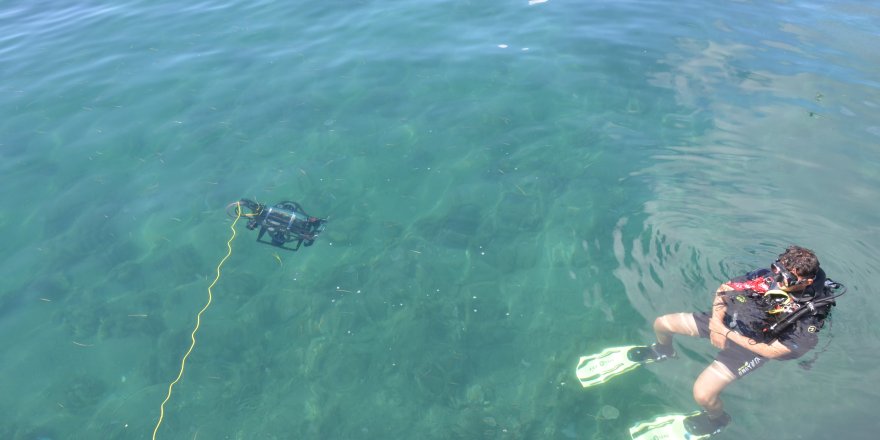 Karadeniz'de Avı Bollaştı, Hamsi Fiyatı 100 TL'ye Düştü