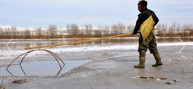 Kızılırmak'ta "Eskimo usulü" balık avı