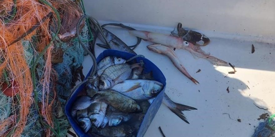 Didim’de Su Ürünleri Kontrolü