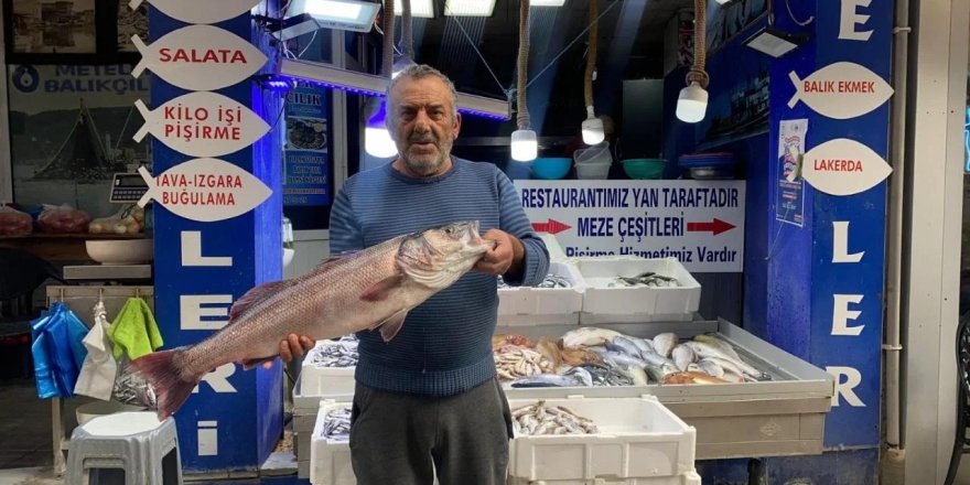 Oltayla Yakalanan Deniz Levreği 9 Bin Liraya Satıldı