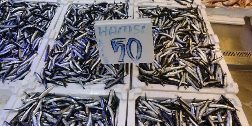 Trabzonlular Hamsiye Doydu