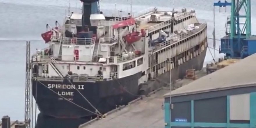 Bandırma Açıklarında Kriz: Spiridon-II Gemisindeki Büyükbaş Hayvanların Durumu Endişe Yarattı