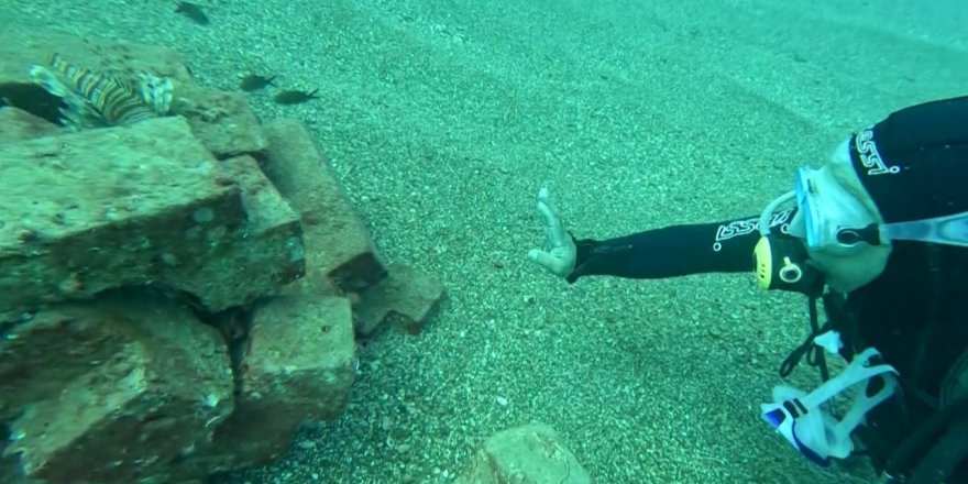 Profesör Deniz Dibinde Taşlardan Balıklara Yuva Yaptı: 12 Tür Barış İçinde Yaşıyor