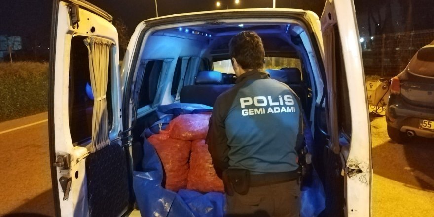 Samsun’da 200 Kilo Kaçak Midye Ele Geçirildi