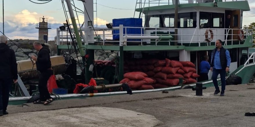 Kastamonu'da Beyaz Kum Midyesi Denetimi