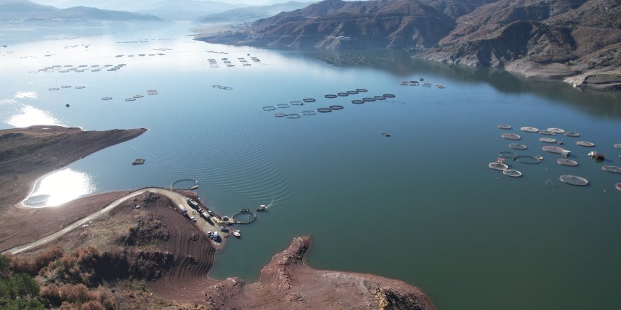 Denizi Olmayan Tokat’ın Somonları Dünya Sofralarına Ulaşıyor