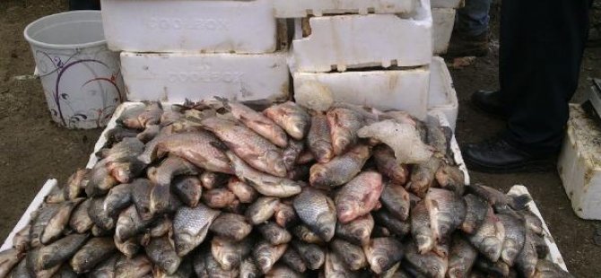 Antalya'da bayat balık operasyonu