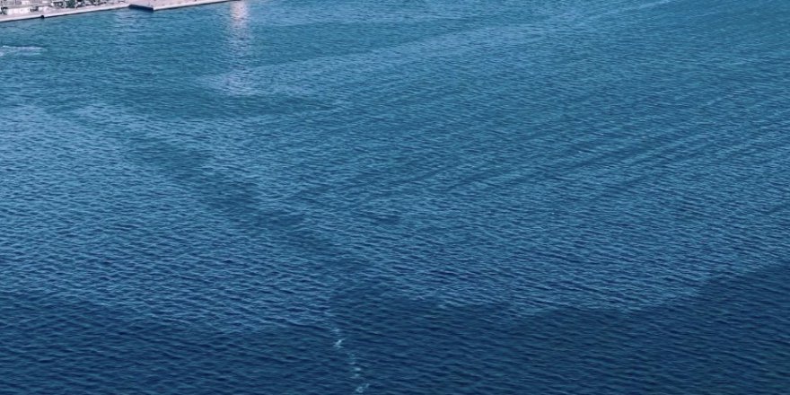 İzmir Körfezi'nde Çevre Kirliliği