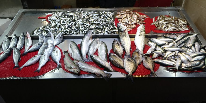 Beklenen Gürcistan Hamsisi Gelmeyince Tezgahlar Buzhane Hamsisine Kaldı