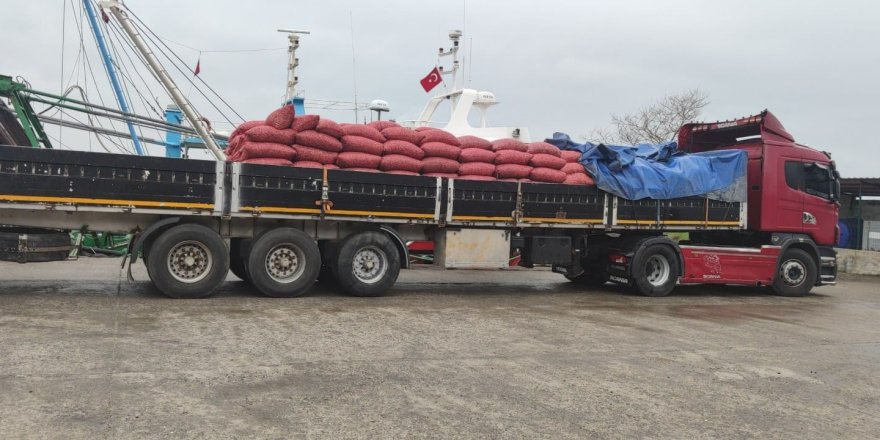 Kastamonu’da Beyaz Kum Midyesi Avcılığına Yönelik Denetimler Sürüyor