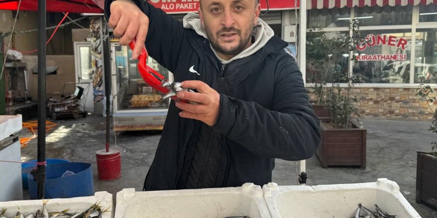 Zonguldak'ta Tezgahlar İstavritle Şenlendi