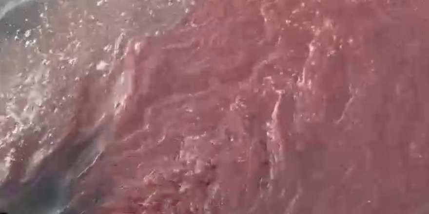Bandırma'da Deniz Yüzeyi Kırmızıya Döndü
