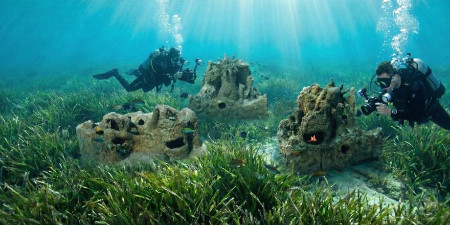 Mavi Ekonomi Davos Gündeminde: Türk Girişimi NESEA’dan Denizlere Restoratif Dokunuş