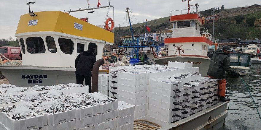 Tekirdağ Açıklarında Torik Bereketi