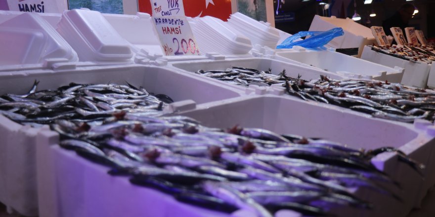 Hamsi Tezgahlardaki Tahtına Yeniden Oturdu