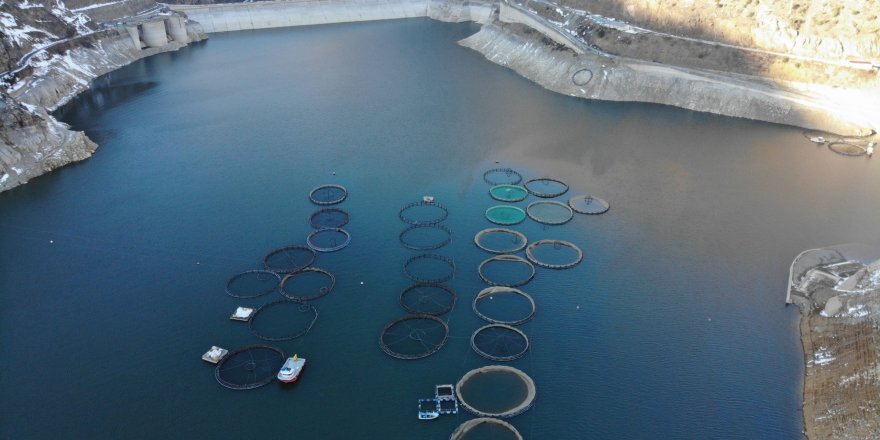 Denizi Olmayan Gümüşhane'de Alabalık Üretimi 2 Bin Tona Ulaştı