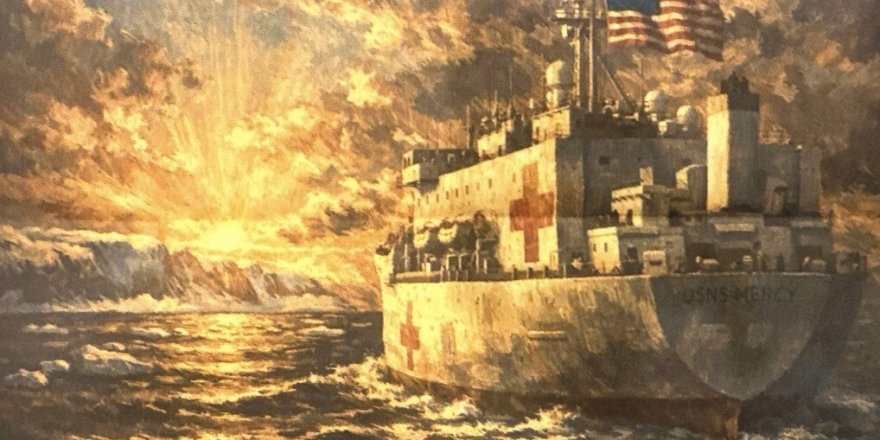 ABD'den Grönland'a Hastane Gemisi