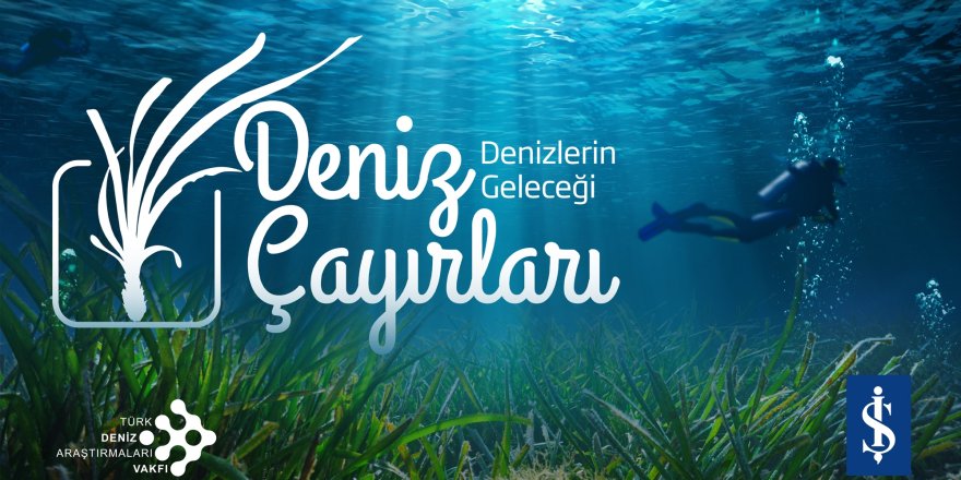 Denizlerin Akciğerleri Çökme Tehlikesiyle Karşı Karşıya Milyar Dolarlık Ekolojik Tehdit