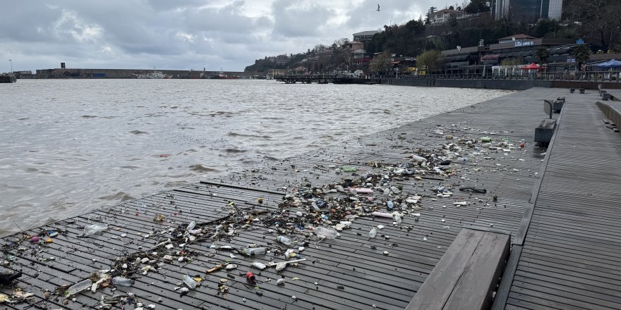 Dalgalarla Sürüklenen Plastik Atıklar Sahile Vurdu