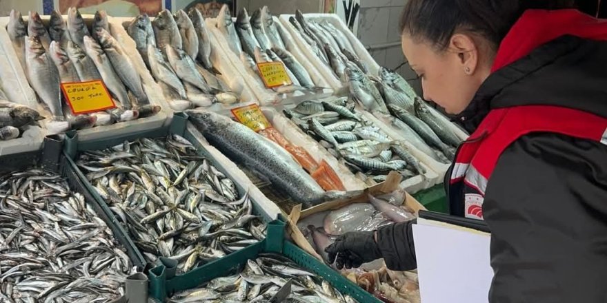Tekirdağ'da Su Ürünlerine Sıkı Denetim