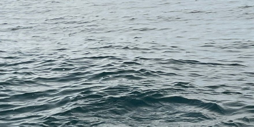 Kırklareli Açıklarında Tespit Edilen Mayın İmha Edildi