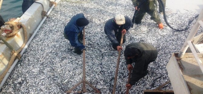 Tarım İl Müdürü balıkçılarla ava çıktı