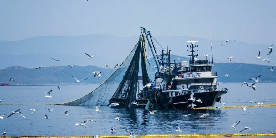Denizlerde Av Yasağı 15 Nisan'da Başlıyor