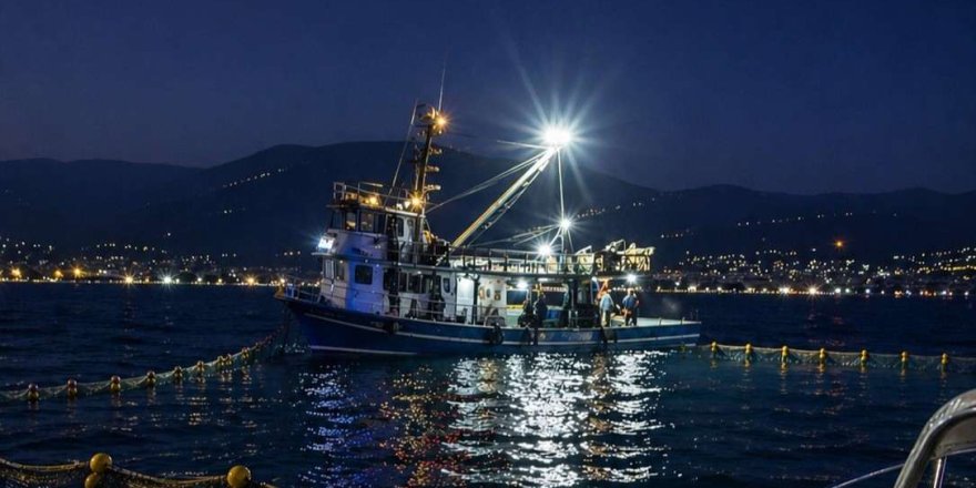 Gemlik Körfezi'nde Sardalya Avcılığı Başladı