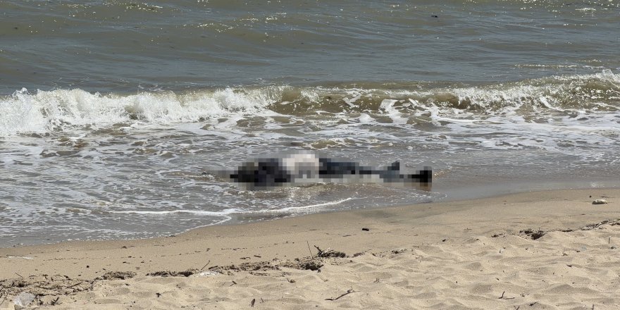 Arnavutköy Sahilinde Erkek Cesedi Bulundu