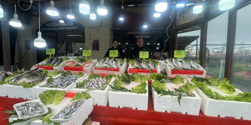 Alaplı Balıkçı Tezgahlarında Çeşit Bitti Mezgit Fiyatı 500 Liraya Çıktı