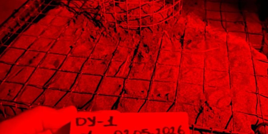 İztuzu'nda Yılın İlk Caretta Yuvası Koruma Altına Alındı