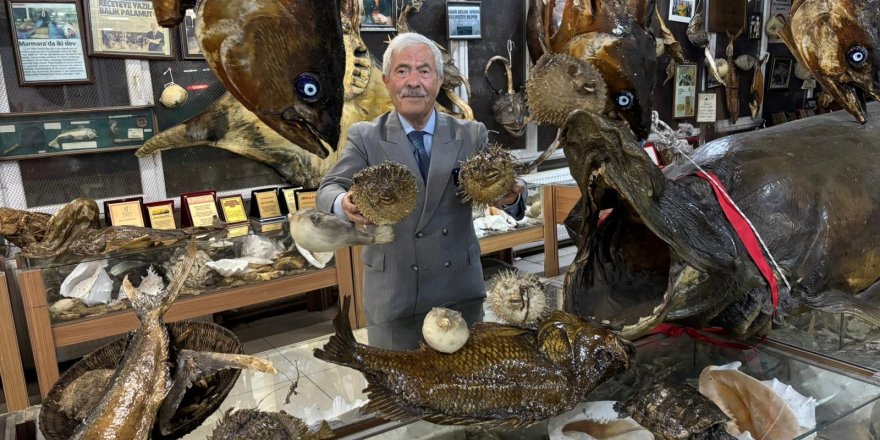 Balıkçı Kenan'dan "Balon Balığı" Uyarısı: "Dişleri Jilet Gibi, Dikenleri Zehirli"