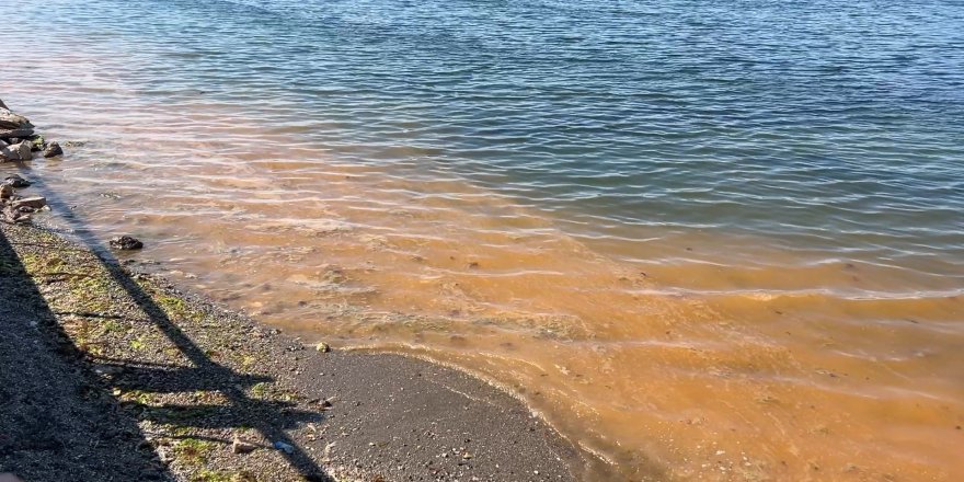 Mudanya'da Müsilajdan Sonra Turuncu Alarm