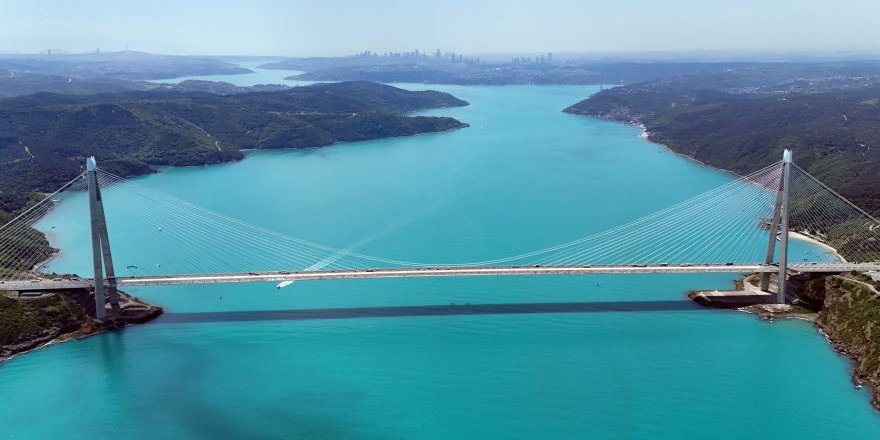 Turkuaza Dönen İstanbul Boğazında Yunuslar Akın Etti