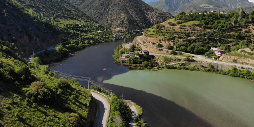 Torul Baraj Gölü'nde Alg Patlaması, Suyun Yüzeyi Koyulaştı