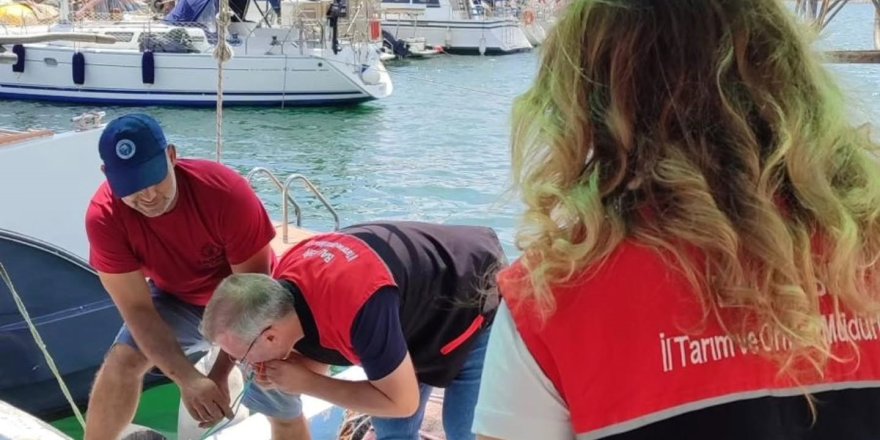 Sürdürülebilir Balıkçılık İçin Av Araçlarına Markalama Çalışması Yapıldı