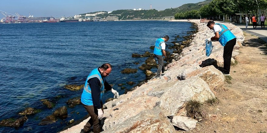 Dilovası'nda Marmara Denizi İçin Sahil Temizliği Yapıldı