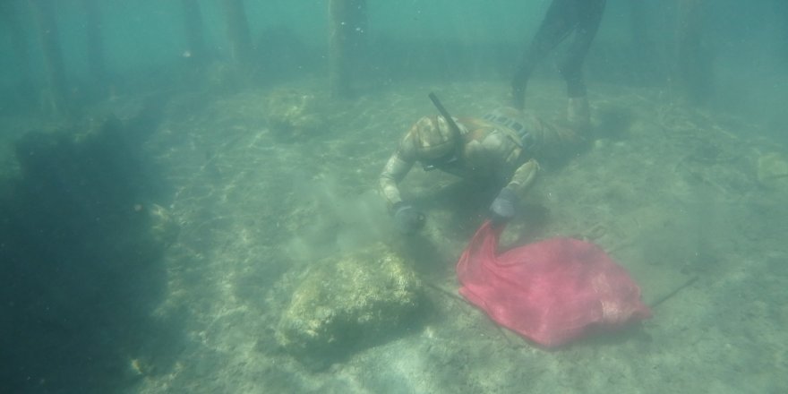 Deniz Dibi Temizliği Gümüşlük'te Devam Etti