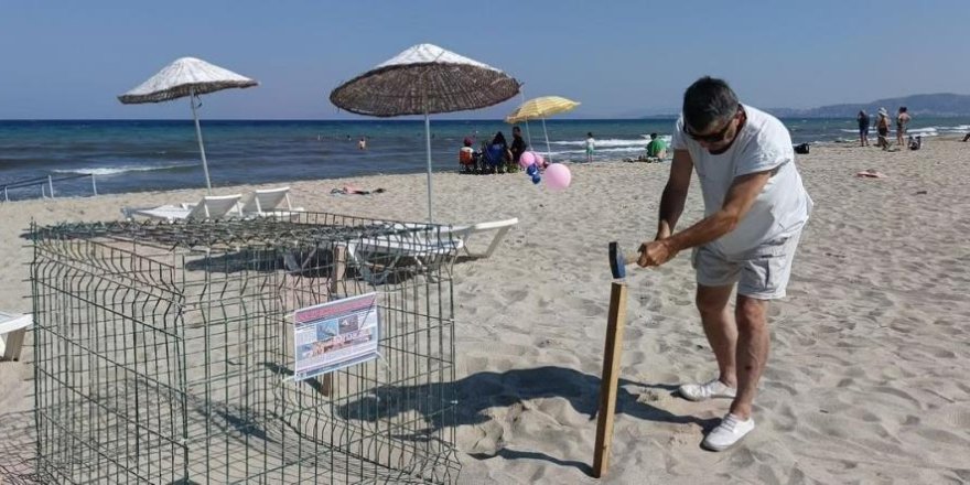 Kuşadası'nda Caretta Carettalardan Umutlandıran Yuva