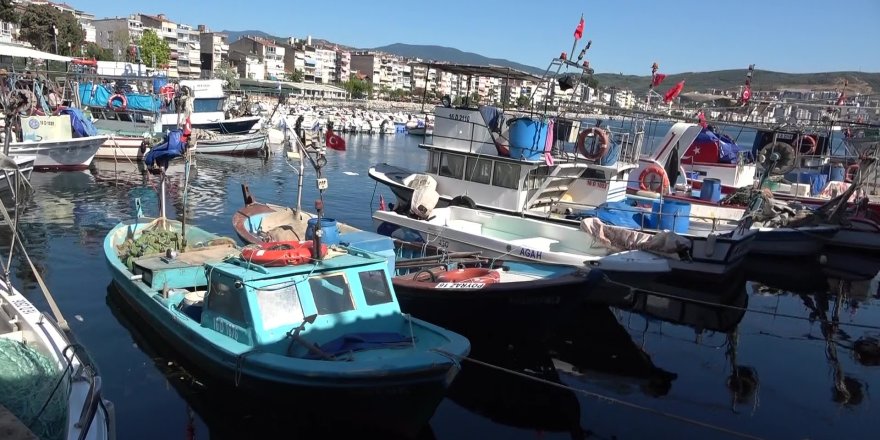 Marmara'nın Emektar Balıkçıları, Müsilaj ve Bilinçsiz Avlanmadan Şikayetçi