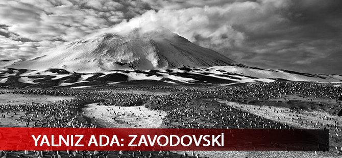 Yalnız ada: Zavodovski