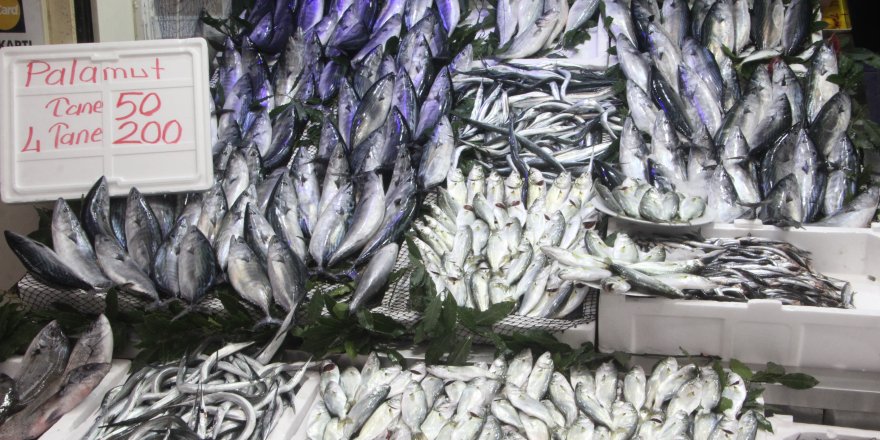 900 Gramlık Palamut 50 Lira: Vatandaş Sıraya Girdi