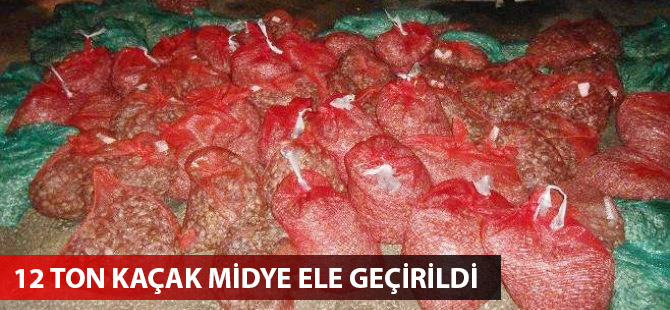 Edirne'de 12 ton kaçak midye ele geçirildi