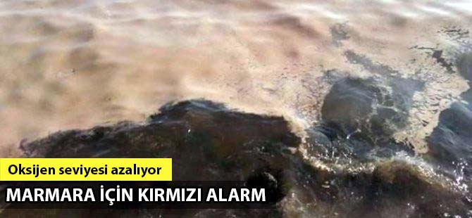 Marmara Denizi yok olma tehlikesiyle karşı karşıya